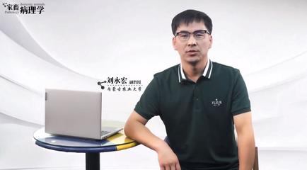 刘永宏