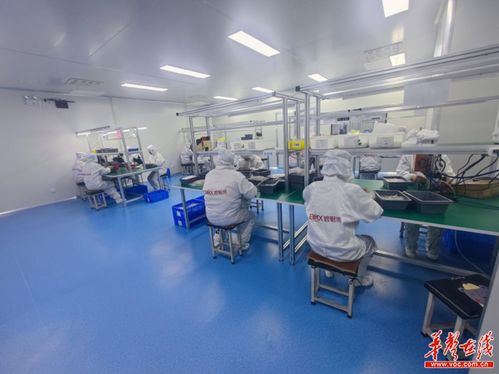 干劲拉满 长沙县全力冲刺 开门红