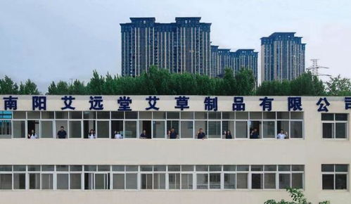 南阳夫妇白手起家,艾草产品年销售超1亿元丨了不起的小微⑧