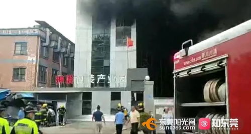 突发 东莞一包装制品厂发生火灾,浓烟冲天