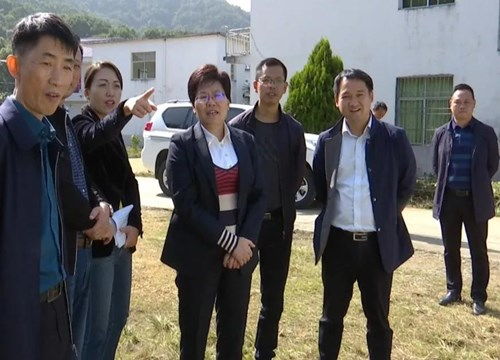 县委副书记 县长周三连调研河长制林长制工作