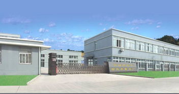 托盘 宁波市北仑胡氏木制品厂