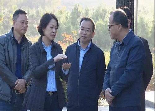 市委常委 统战部长廖奇志到我县调研林长制工作