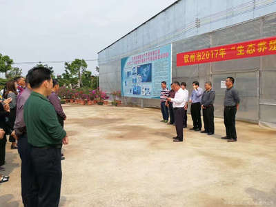 永宏农业 以科技为翼，谱写现代农业新篇章