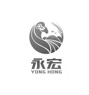 涌鸿与永宏 两个名字的寓意与影响